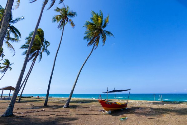 Quels sont les meilleurs spots pour une aventure en parapente à Interlaken, Suisse?