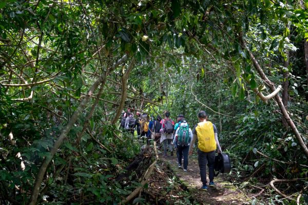 Quels sont les meilleurs circuits pour une exploration des forêts tropicales de Bornéo?