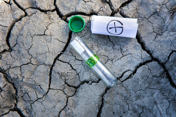 Comment vivre une expérience de chasse au trésor géocaching dans les parcs nationaux américains?