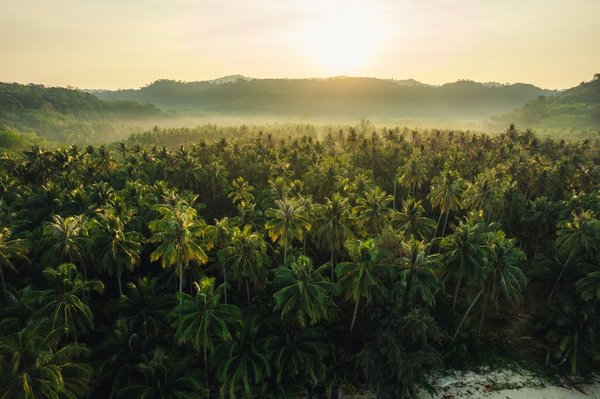 Quels sont les meilleurs spots pour la photographie de paysages en Islande?